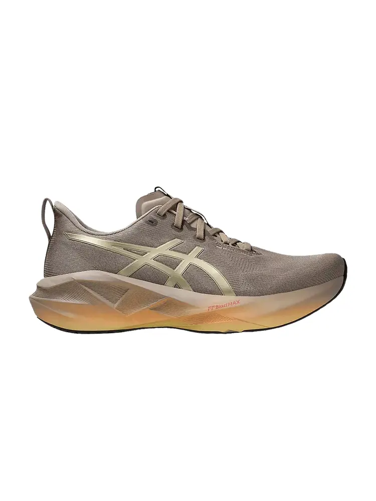 Кроссовки ASICS Novablast 5 Luxe — изображение 1 из 1, коричневый