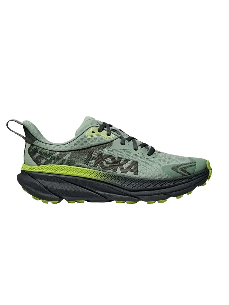 Кроссовки Challenger ATR 7 GORE-TEX 'Aloe Vera' — изображение 1 из 1, зеленый