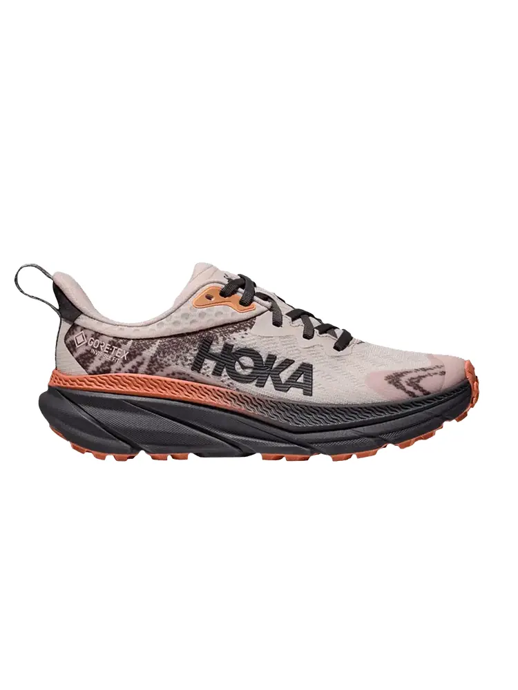 Кроссовки Wmns Challenger ATR 7 GORE-TEX 'Cosmic Pearl' — изображение 1 из 1, жемчужный