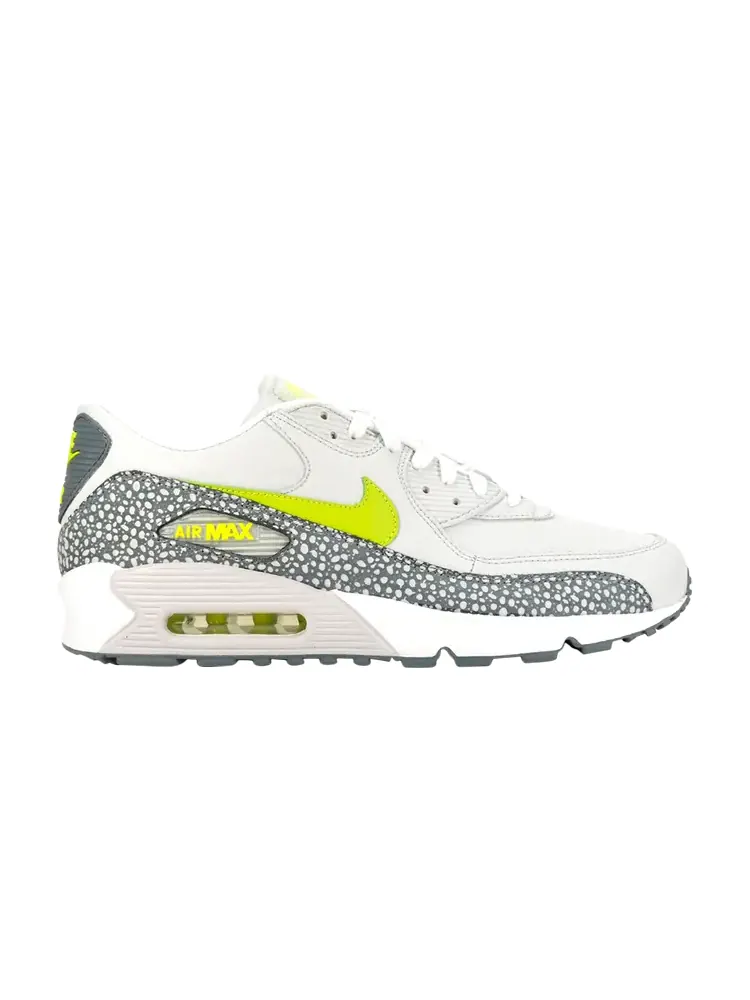 Кроссовки Nike Air Max 90 Leather 'Cactus Pack' — изображение 1 из 1, серый