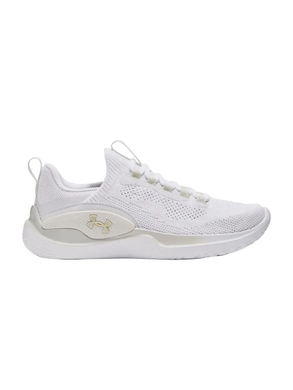 Кроссовки Wmns Flow Dynamic Under Armour — изображение 1 из 1