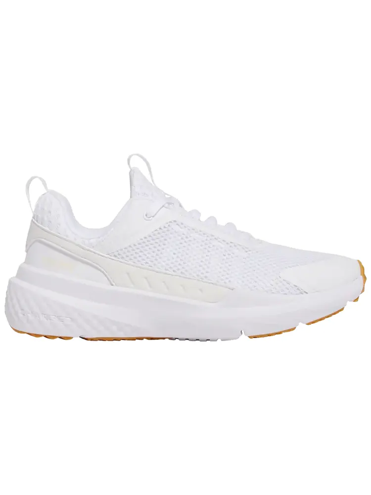 Кроссовки Under Armour Project Rock BSR 5 'White Stone' — изображение 1 из 1, белый
