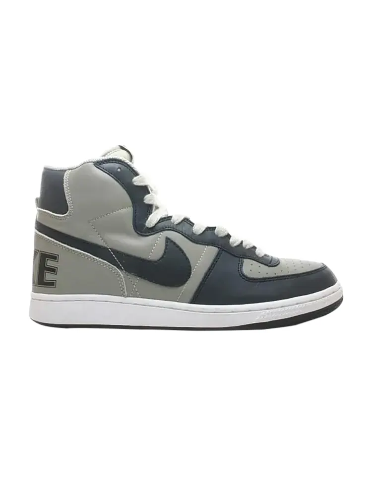 Кроссовки Nike Terminator Hi — изображение 1 из 1, серый