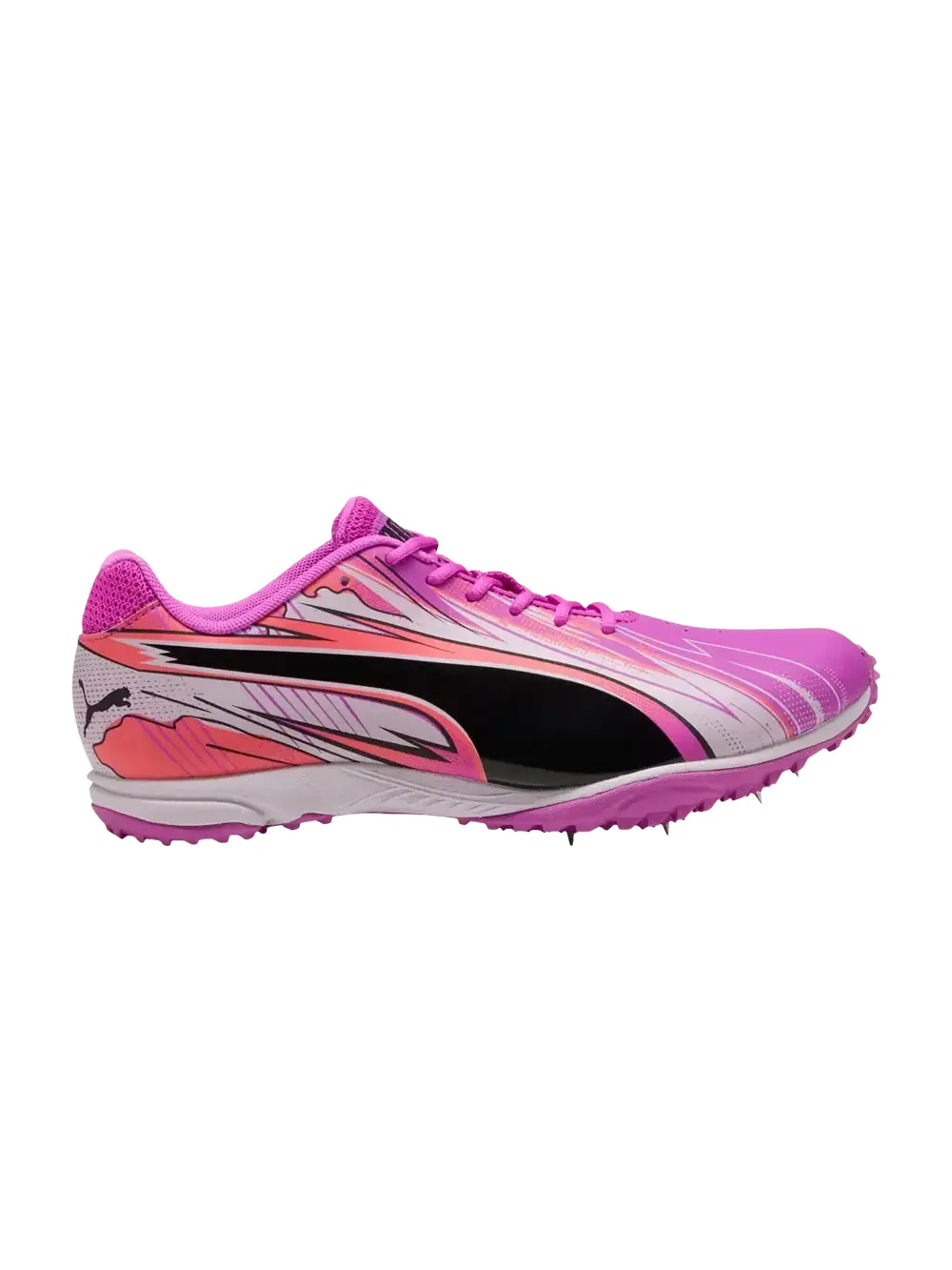 Кроссовки Puma Evospeed Haraka получили расцветку — изображение 1 из 1, фиолетовый/мульти