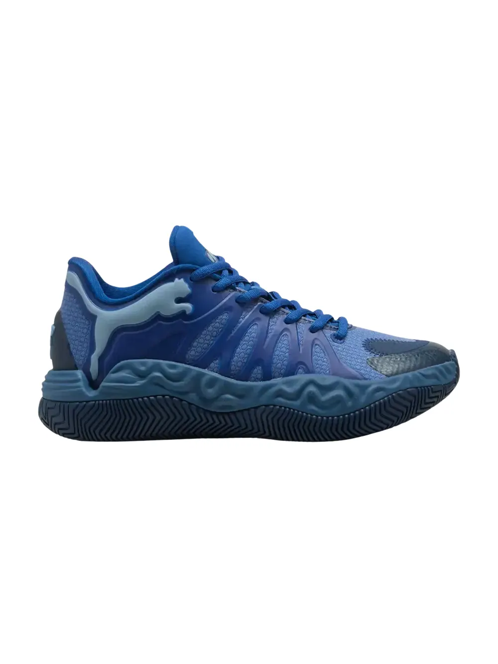 Кроссовки Puma Hali 1 Big Kid — изображение 1 из 1, синий