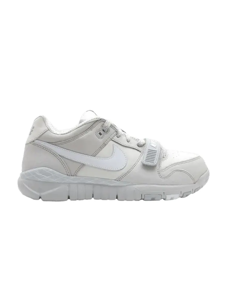 Кроссовки Nike Trainer Dunk Low — изображение 1 из 1, серый