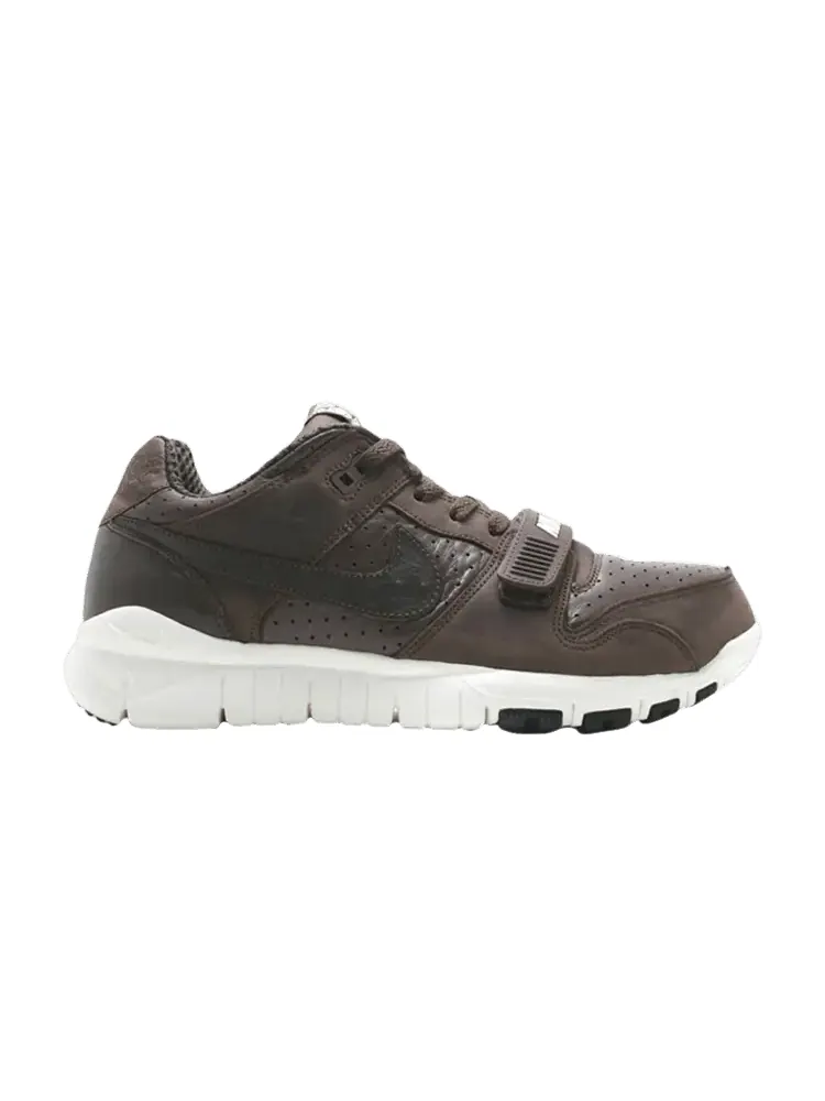 Кроссовки Nike Trainer Dunk Low, Stussy World Tour — изображение 1 из 1, коричневый
