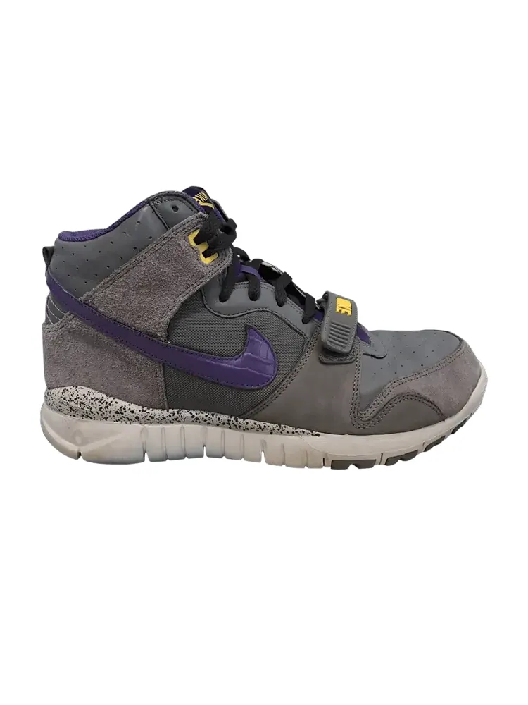 Кроссовки Nike Trainer Dunk High — изображение 1 из 1, серый