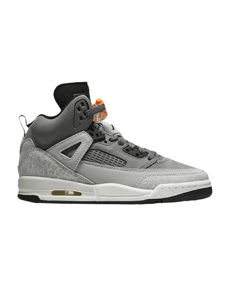Кроссовки Air Jordan Spizike GS — изображение 1 из 1, серый