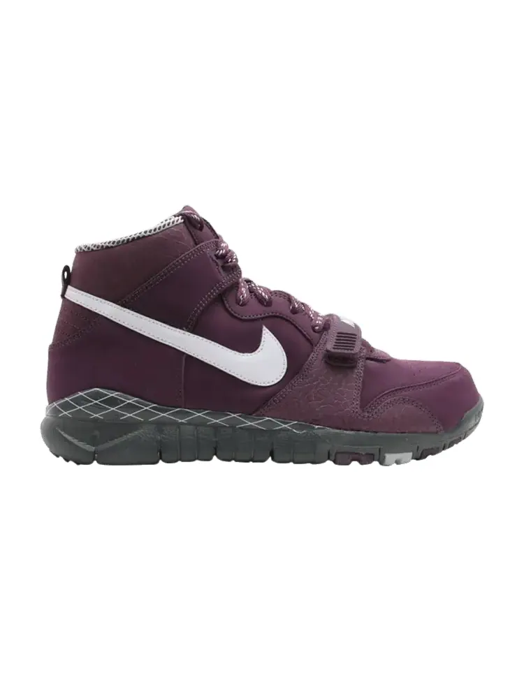 Кроссовки Nike Trainer Dunk High — изображение 1 из 1, фиолетовый