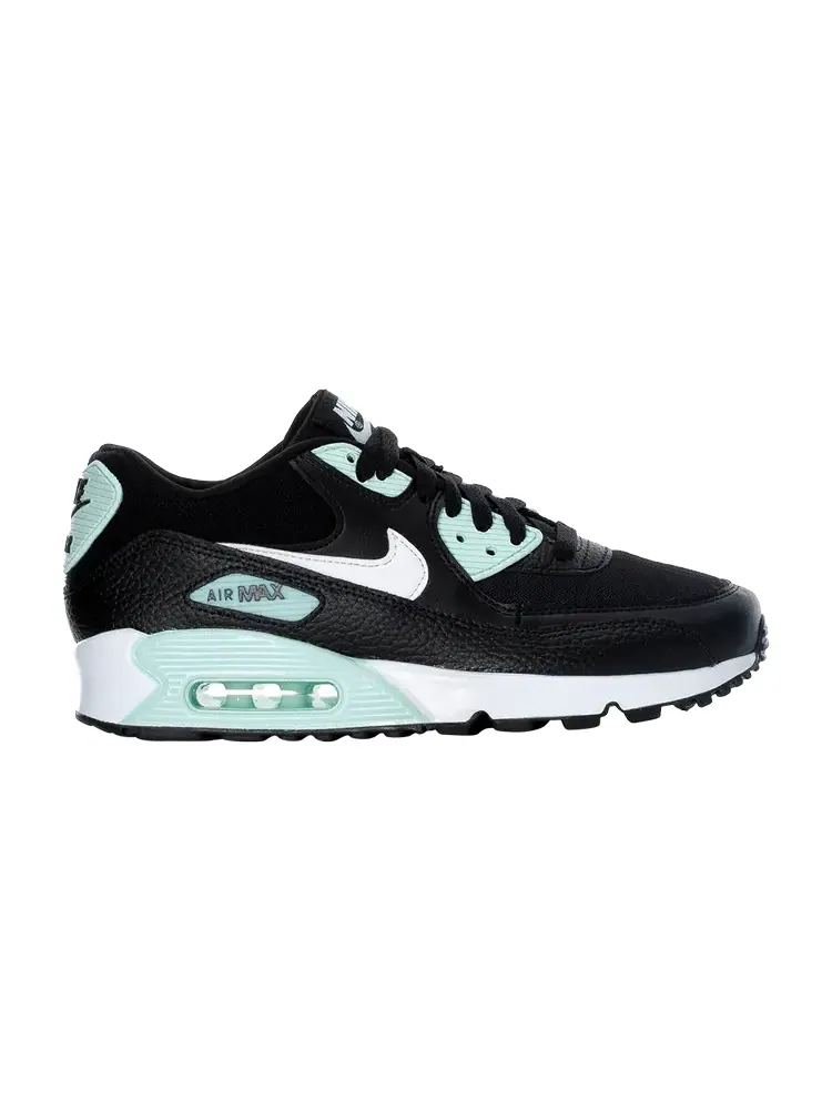 Кроссовки Nike Wmns Air Max 90 'Black Igloo' — изображение 1 из 1, черный