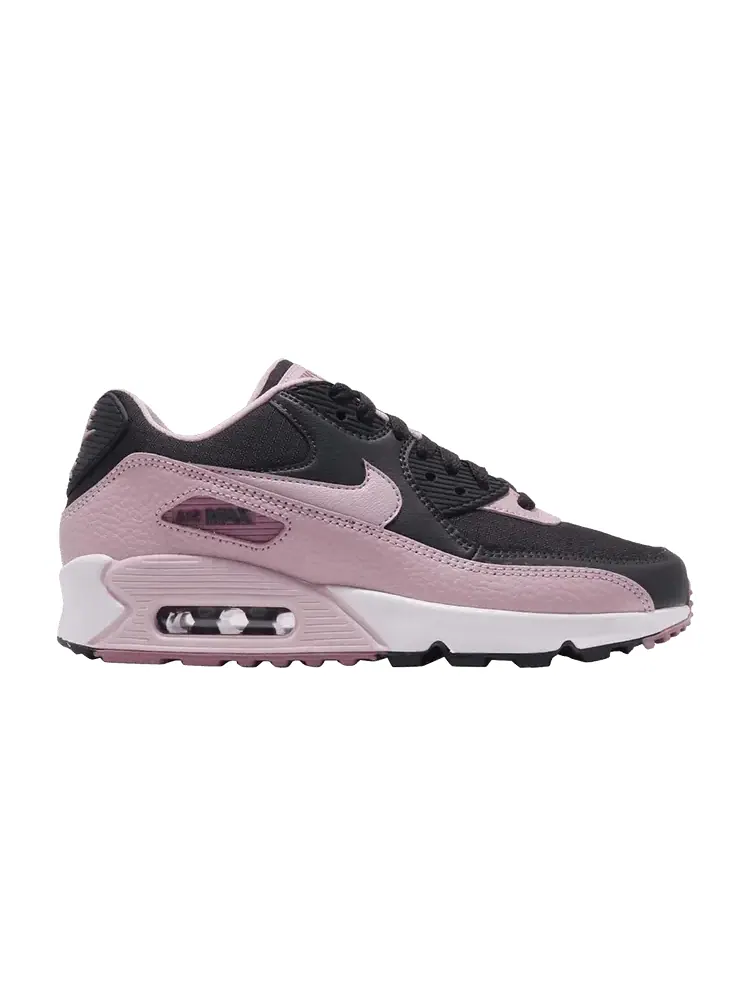Кроссовки Nike Wmns Air Max 90 'Plum Chalk' — изображение 1 из 1, серый