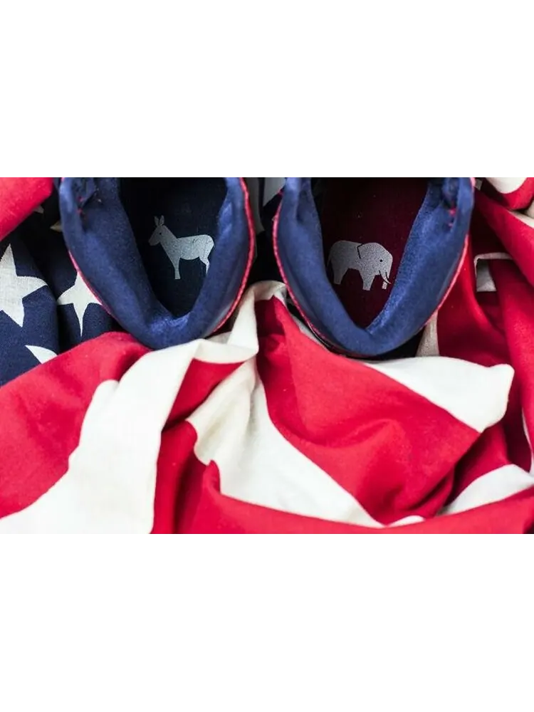 Кроссовки Air Jordan 1 Retro High Election Day — изображение 3 из 7, синий