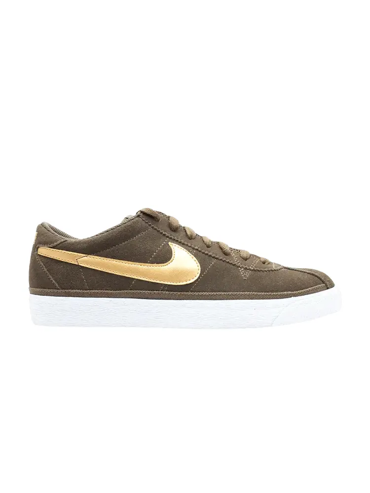 Кеды Nike Zoom Bruin Sb — изображение 1 из 1