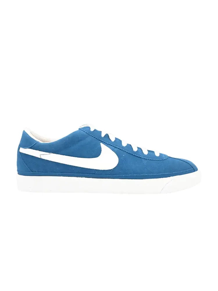 Кеды Nike Zoom Bruin Sb — изображение 1 из 1, синий/белый