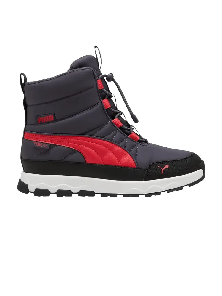Кроссовки Puma Evolve Big Kid PURE-TEX Galactic Grey Tart Cherry — изображение 1 из 1, серый