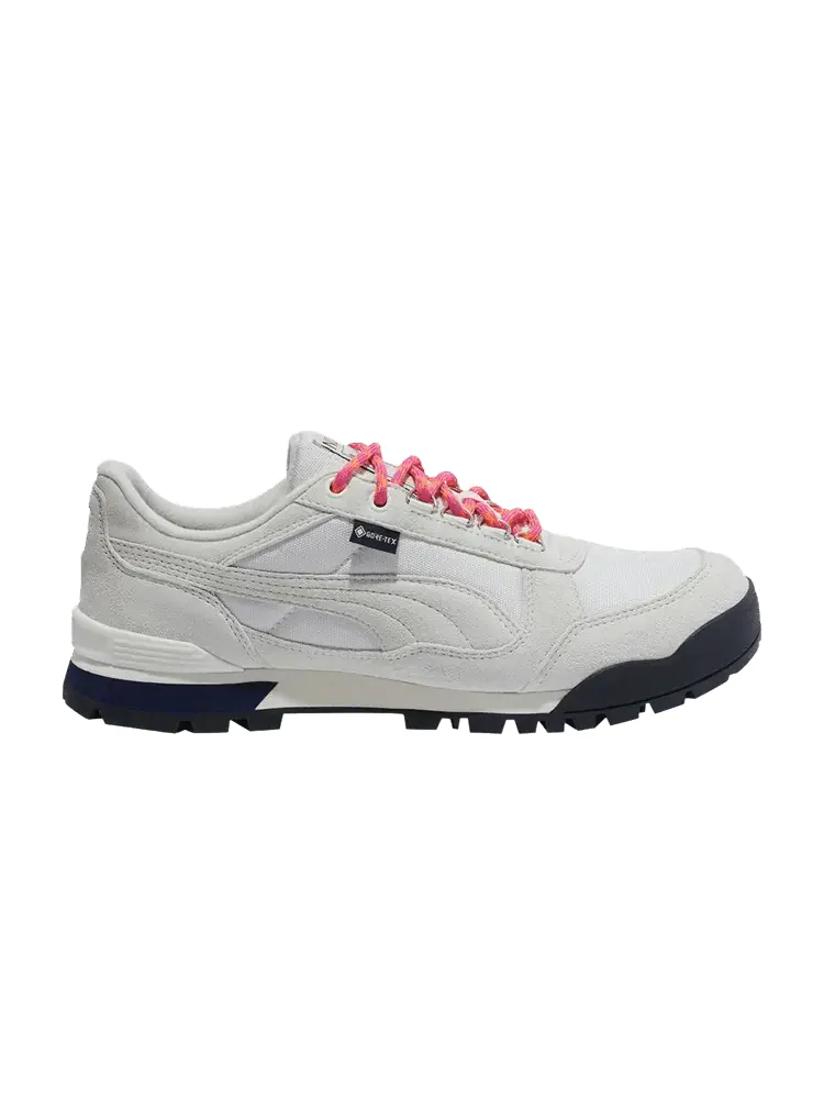 Кроссовки Noah x RDR Low GORE-TEX 'Warm White Vapor Grey' — изображение 1 из 1, белый серый