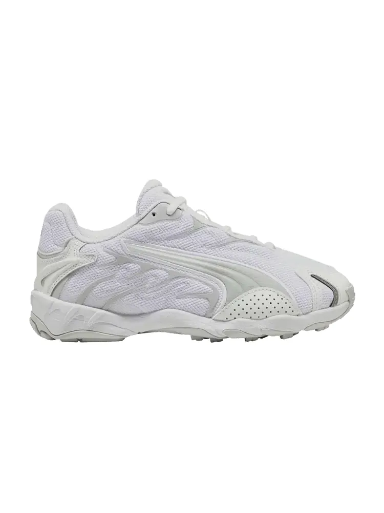 Кроссовки Puma Inhale Core Big Kid — изображение 1 из 1, белый серый
