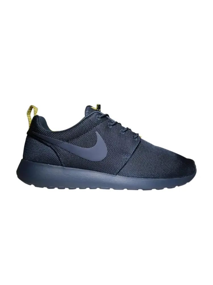 Кроссовки Nike Rosherun 'Split Pack' — изображение 1 из 1, синий