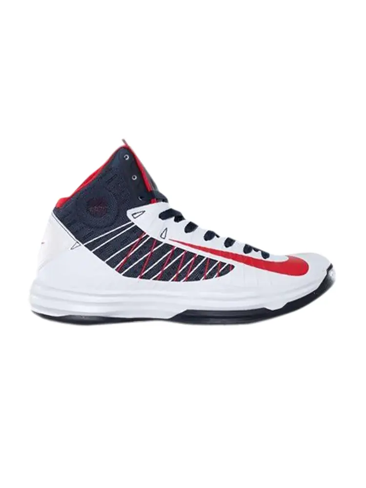Кроссовки Nike Lunar Hyperdunk + 2012 — изображение 1 из 1, белый