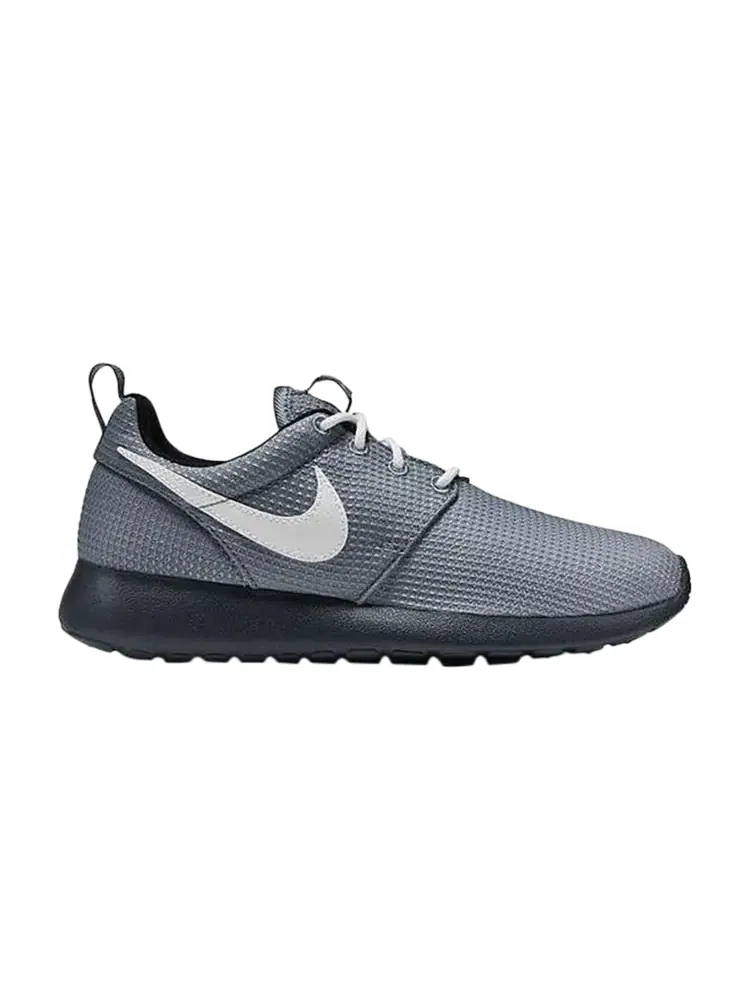 Кроссовки Nike Rosherun GS 'Magnet Grey'