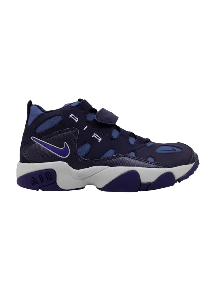 Кроссовки Air Turf Raider GS 'Purple Dynasty' — изображение 1 из 1, фиолетовый