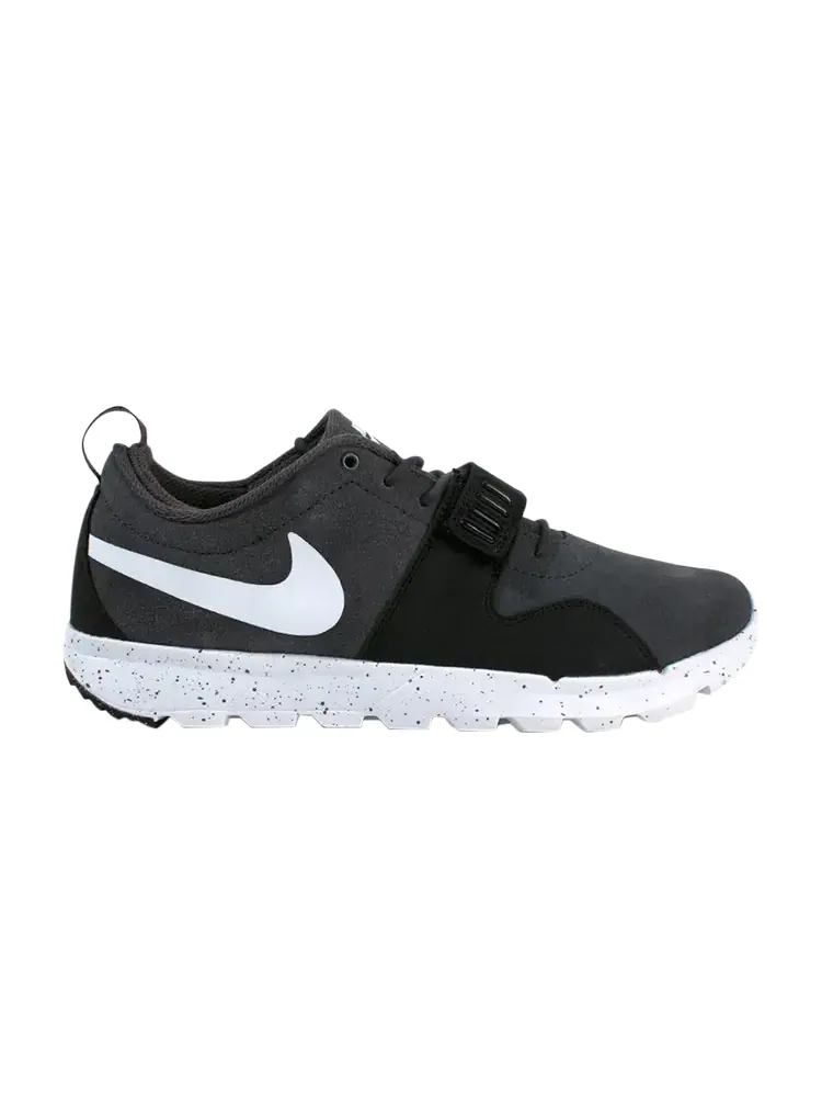 Кроссовки Nike SB Trainernedor — изображение 1 из 4, серый