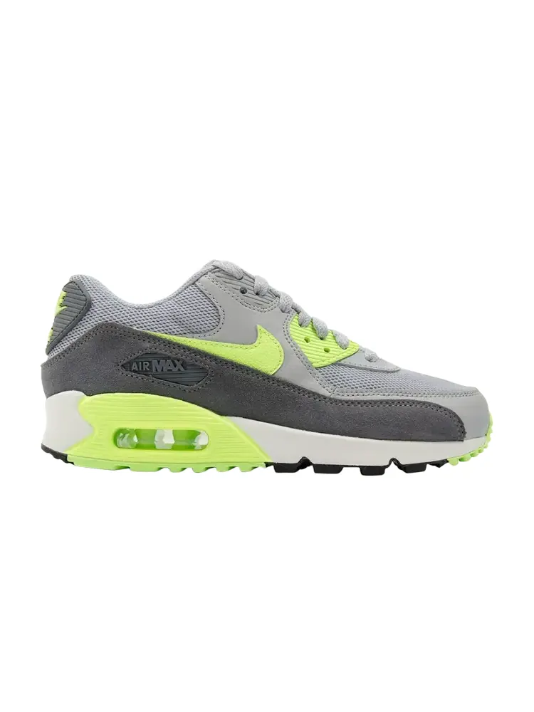 Кроссовки Nike Wmns Air Max 90 Essential — изображение 1 из 1, серый