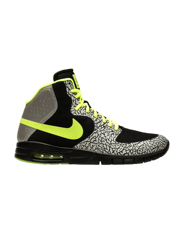 Кроссовки Nike Paul Rodriguez Hyperfuse Max P — изображение 1 из 1, серый