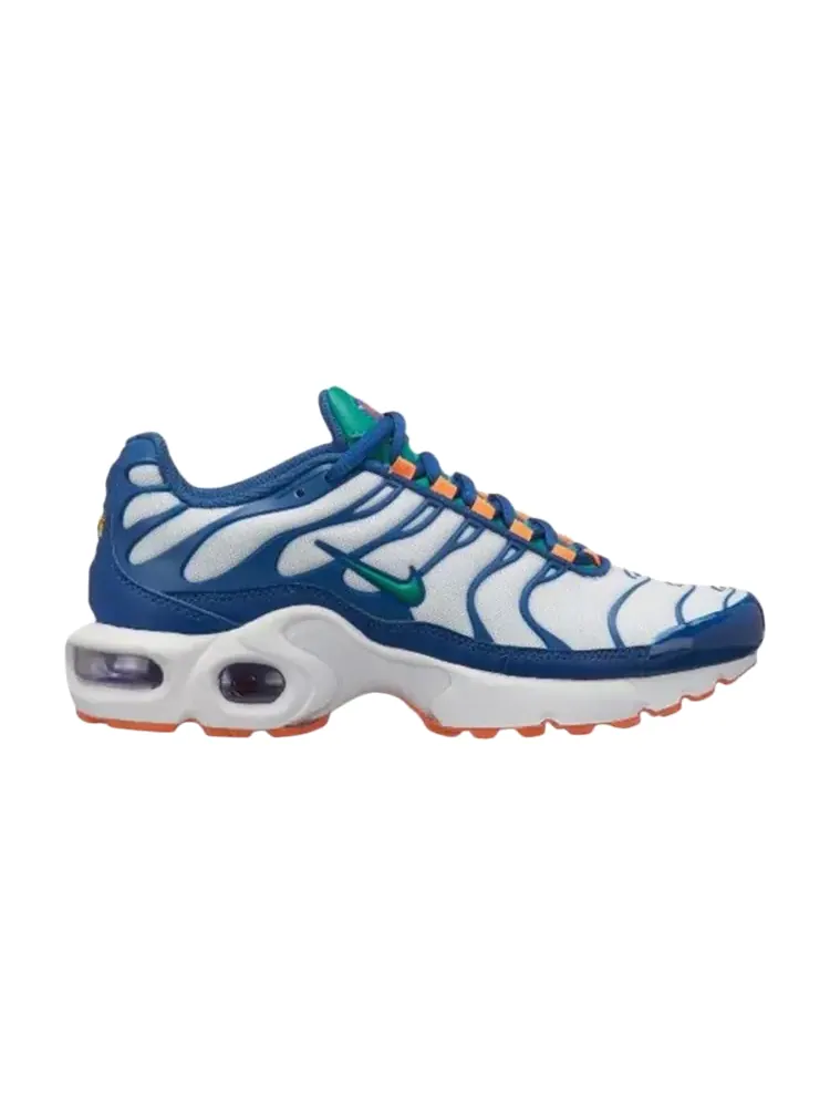 Кроссовки Nike Air Max Plus GS 'Neptune Green' — изображение 1 из 1, синий