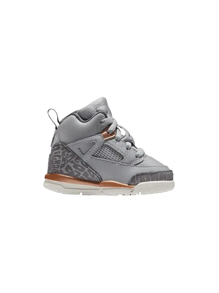 Кроссовки Air Jordan Spizike GT — изображение 1 из 1, серый