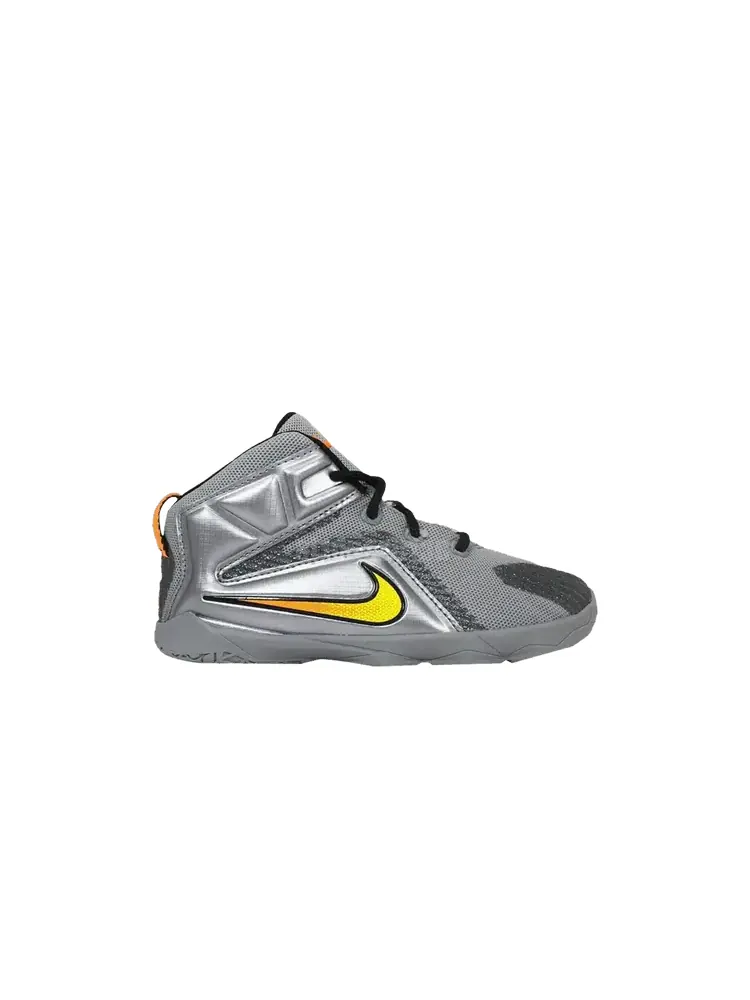 Кроссовки Nike LeBron 12 TD, Flight — изображение 1 из 1, серый