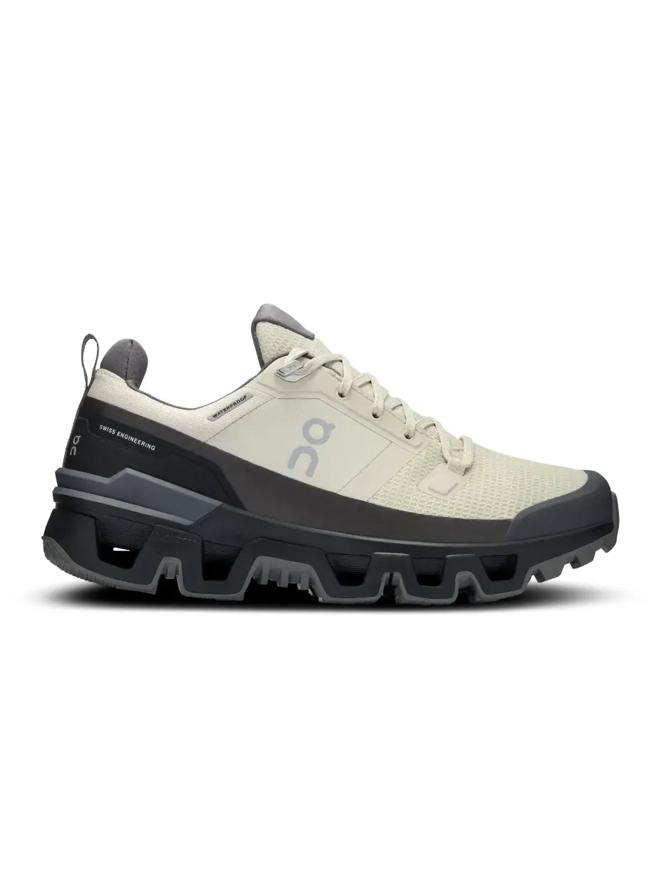 Кроссовки Wmns Cloudwander Waterproof 'Sand Black' — 2