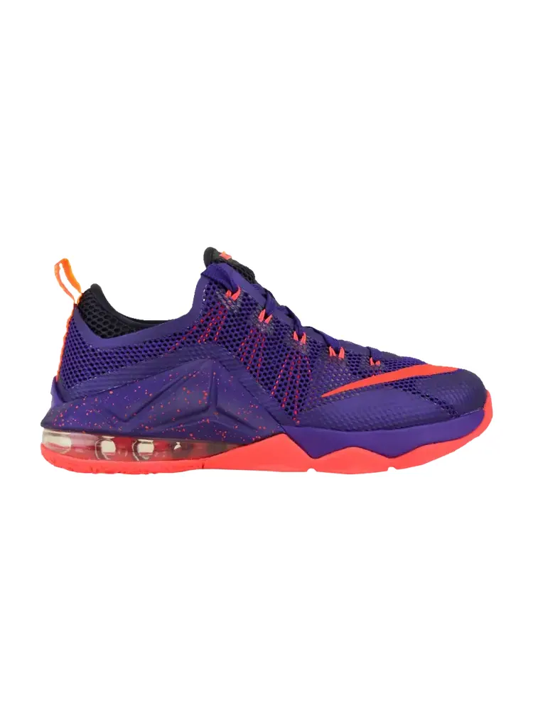 Кроссовки Nike Lebron 12 Low GS — изображение 1 из 1, фиолетовый