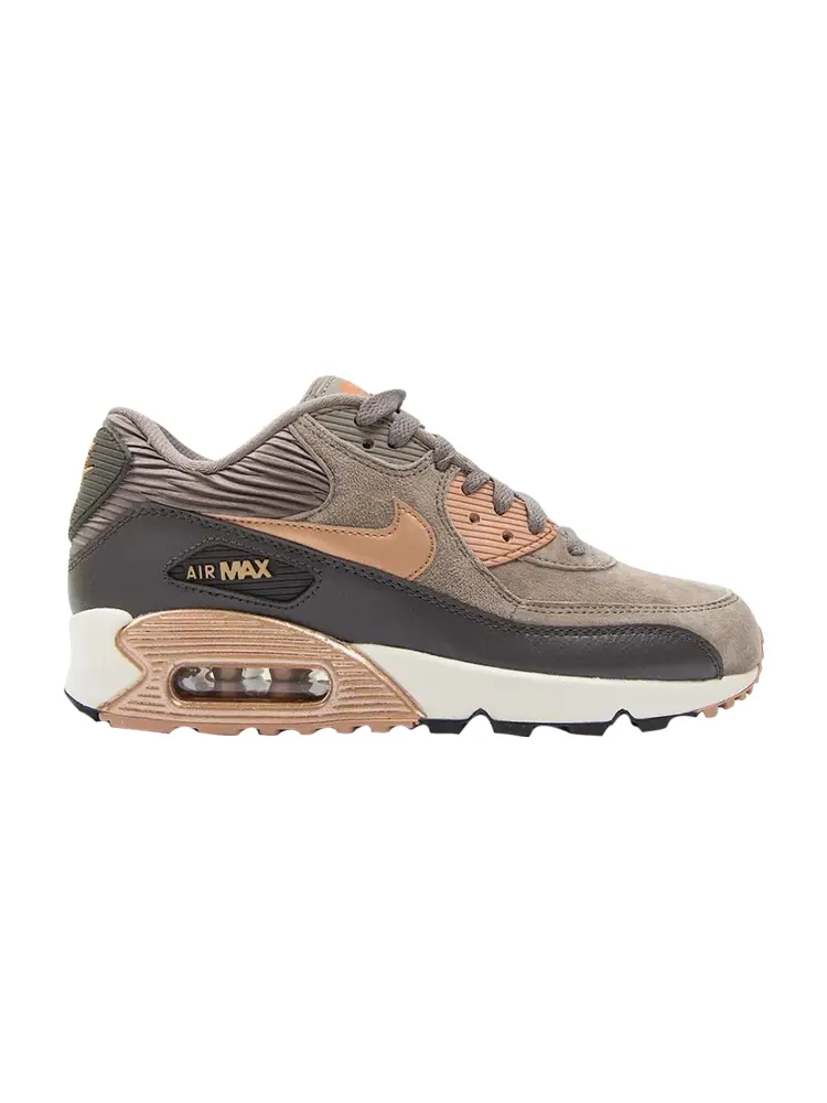 Кроссовки Nike Wmns Air Max 90 Leather — изображение 1 из 1, серый