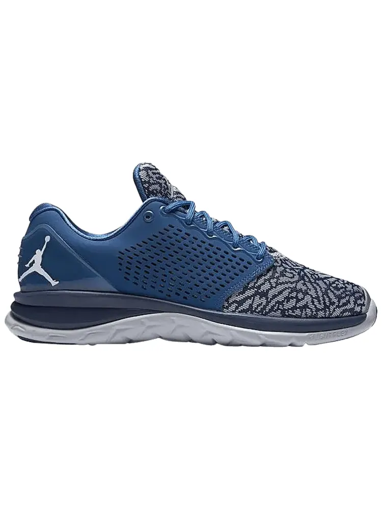 Кроссовки Air Jordan Trainer ST 'French Blue' — изображение 1 из 1, синий