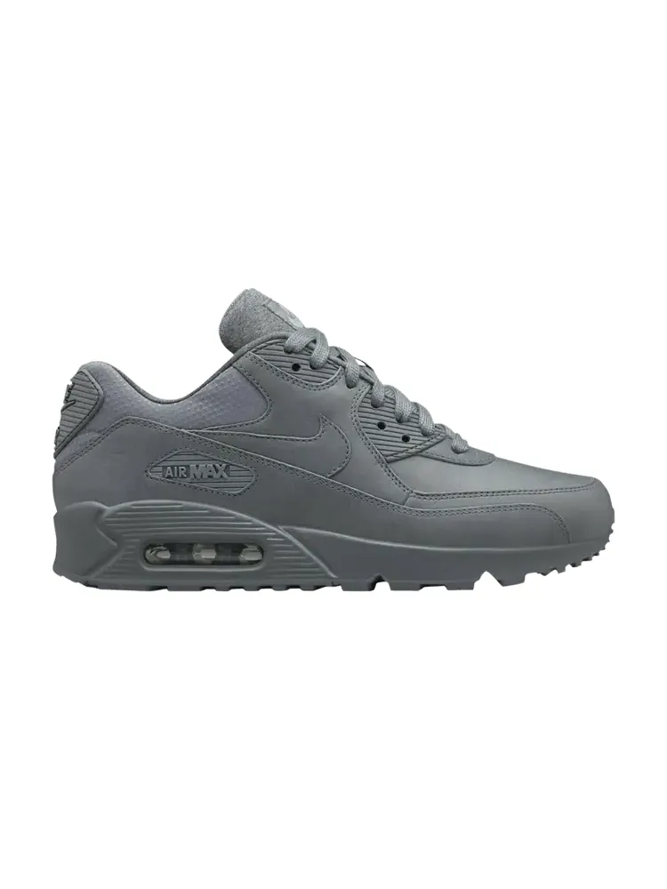 Кроссовки Nike Wmns Air Max 90 Pinnacle 'Cool Grey' — изображение 1 из 1, серый/серый/серебристый
