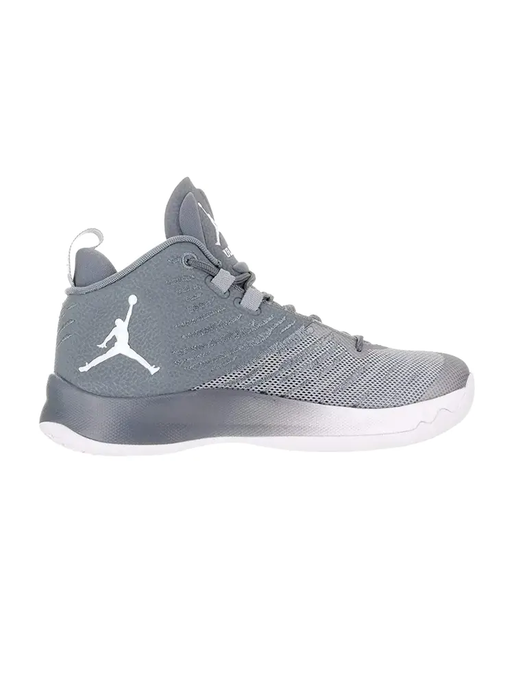 Кроссовки Air Jordan Jordan Super.Fly 5 BG 'Wolf Grey' — изображение 1 из 1, серый
