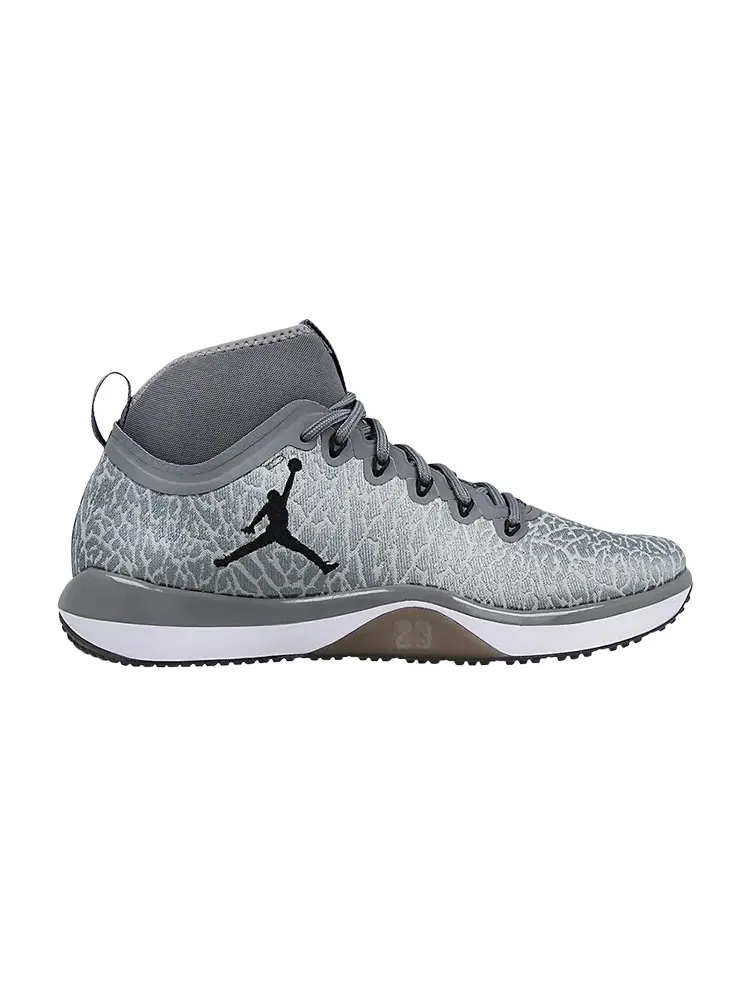 Кроссовки Air Jordan Jordan Trainer 1 — изображение 1 из 1, серый