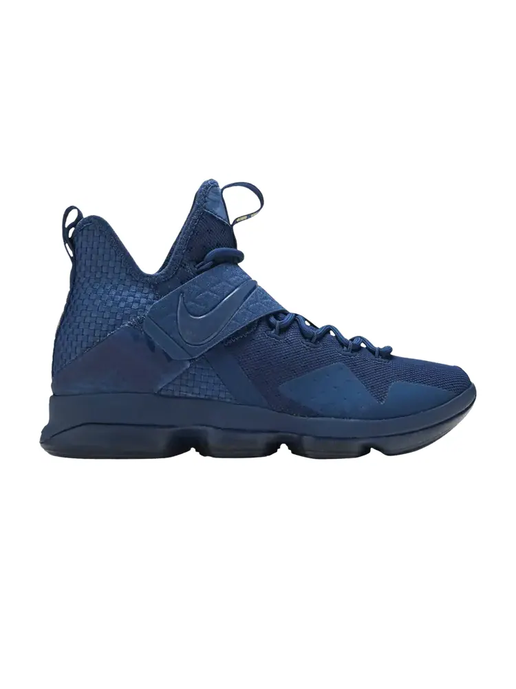 Кроссовки Nike LeBron 14 Limited EP, Agimat — изображение 1 из 1, синий