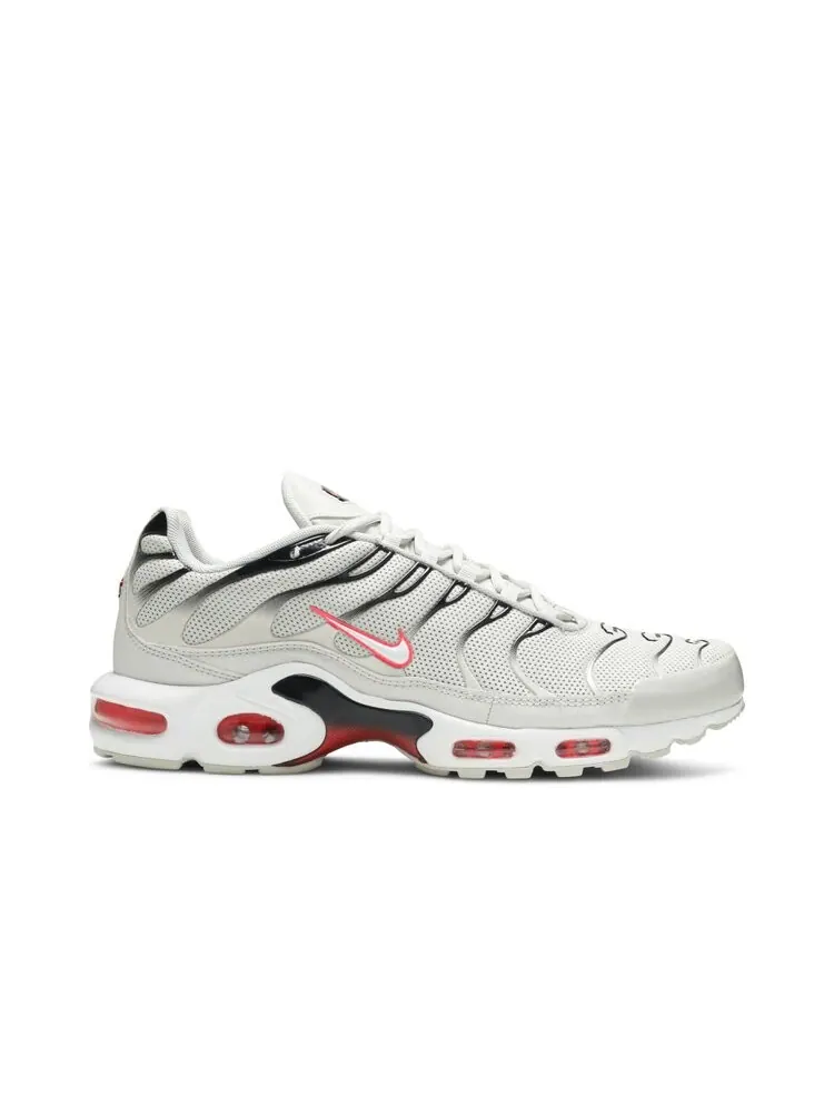 Кроссовки Nike Air Max Plus 'Light Bone' — изображение 1 из 4, черный