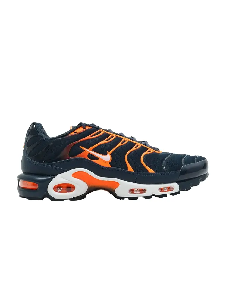 Кроссовки Nike Air Max Plus 'Armory Navy' — изображение 1 из 1, синий