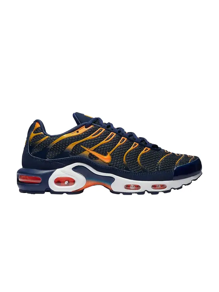 Кроссовки Nike Air Max Plus 'Blue Void' — изображение 1 из 1, синий
