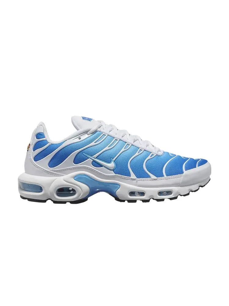 Кроссовки Nike Air Max Plus 'Sky Blue' — изображение 1 из 1, синий