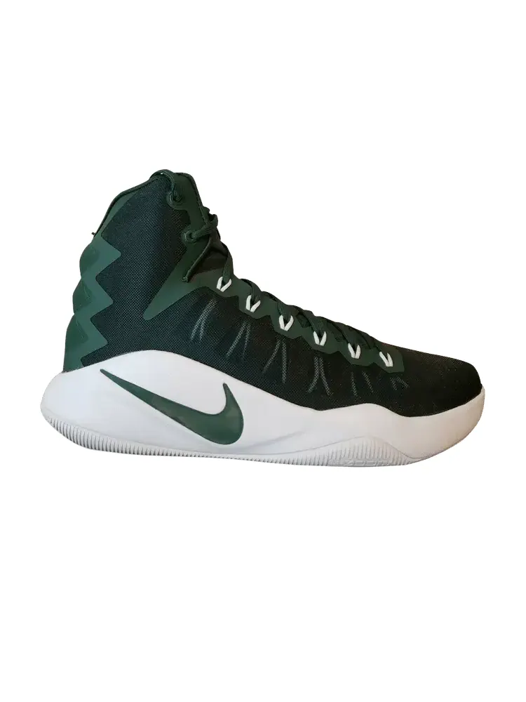 Кроссовки Nike Hyperdunk 2016 TB 'Gorge Green' — изображение 1 из 1, зеленый/зеленый/белый