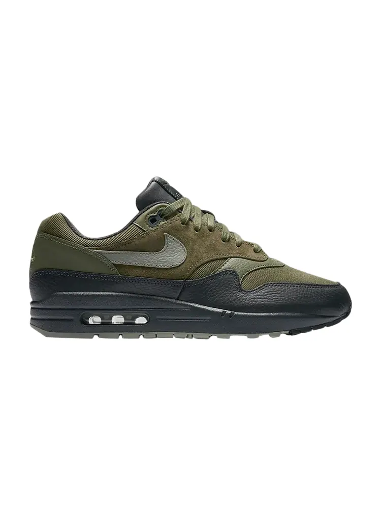 Кроссовки Nike Air Max 1 Premium 'Dark Stucco' — изображение 1 из 4, зеленый
