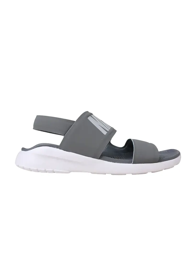 Кроссовки Nike Wmns Tanjun Sandal 'Cool Grey' — изображение 1 из 1, серый