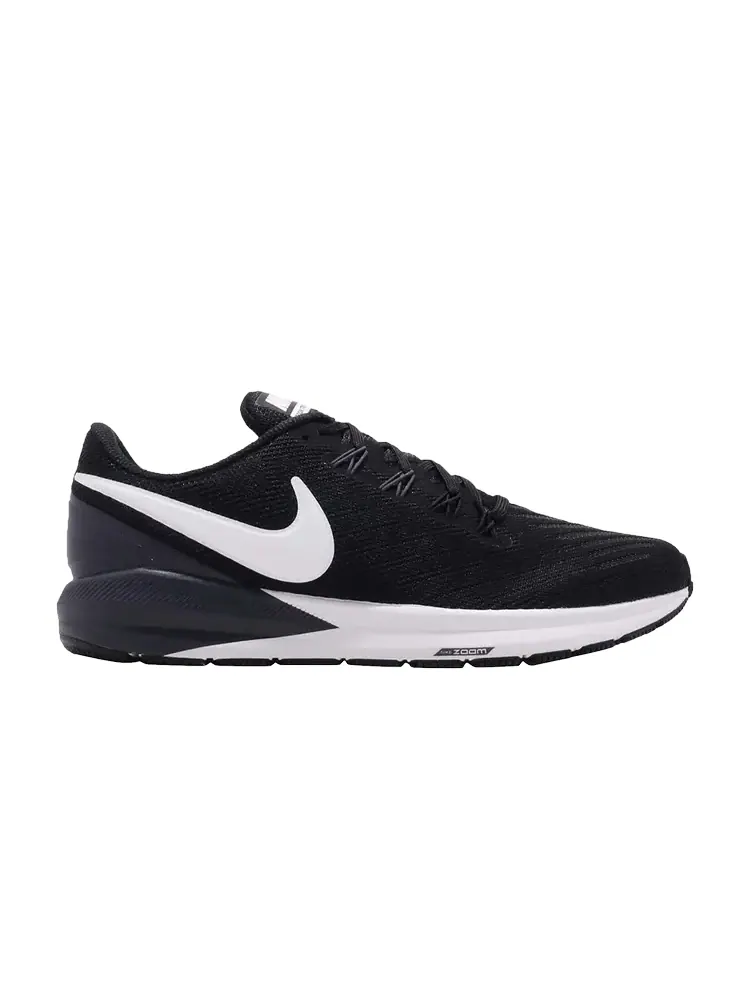 Кроссовки Nike Air Zoom Structure 22 'Black' — изображение 1 из 1, черный