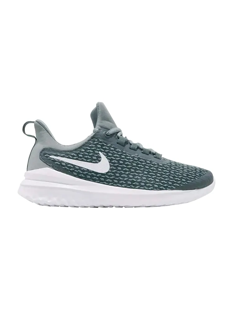 Кроссовки Nike Wmns Renew Rival 'Summit White' — изображение 1 из 1, серый