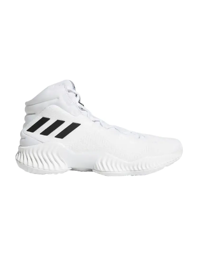 Кроссовки Adidas Pro Bounce 2018 'Footwear White' — изображение 1 из 1, белый